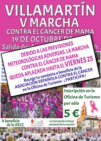 V Marcha contra el cáncer de mama