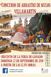 Concurso de arrastre de mulos