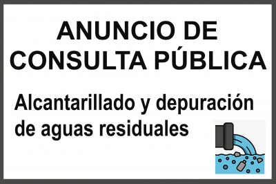 ANUNCIO DE CONSULTA PÚBLICA EN EL PORTAL WEB